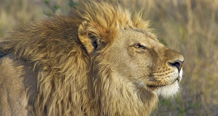 South Africa