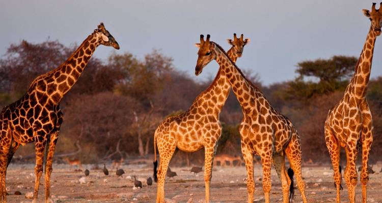 Namibia