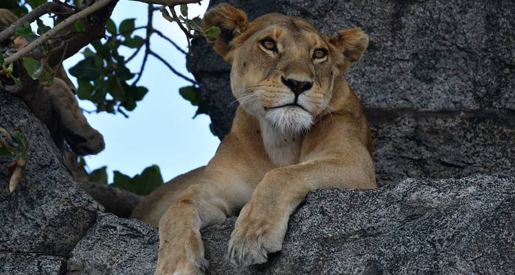 East Africa