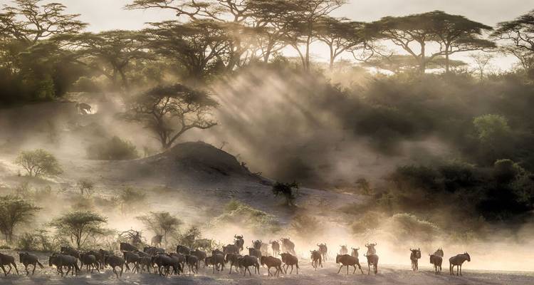 Tanzania