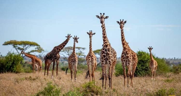 East Africa