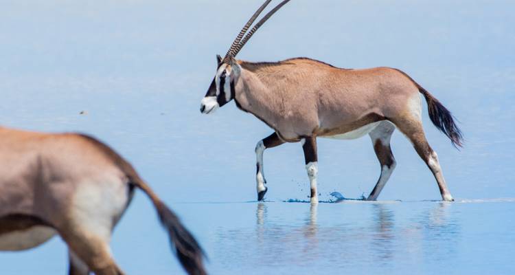 Southern Africa