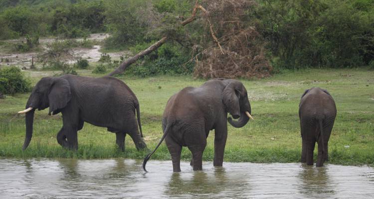 East Africa