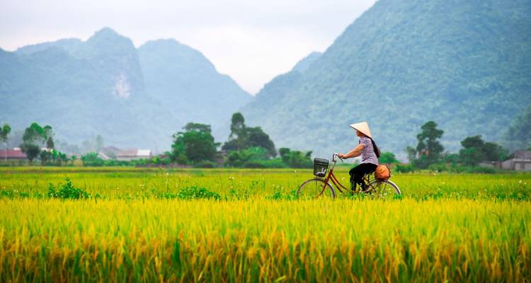 Vietnam