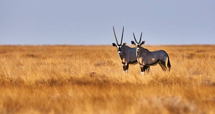 Southern Africa
