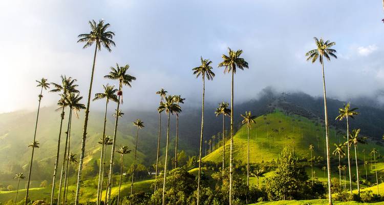 South America