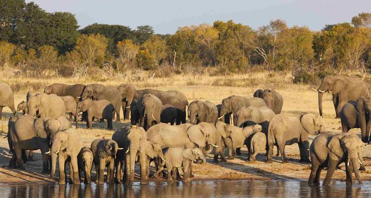Zimbabwe