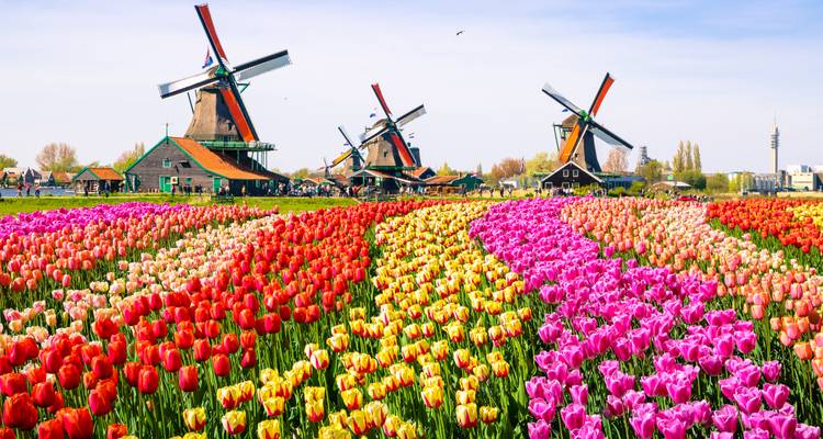 Belgium