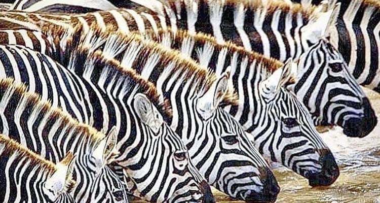 Tanzania
