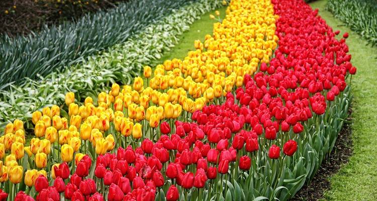 Netherlands