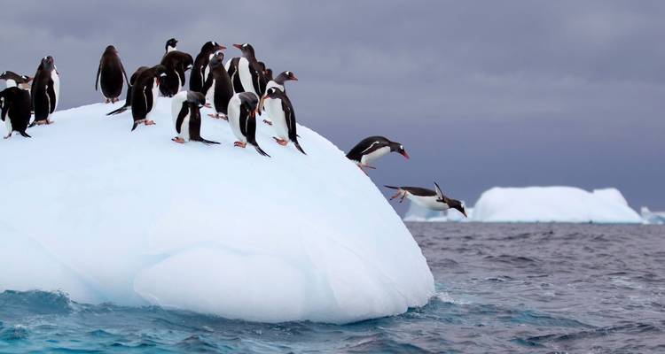 Antarctica
