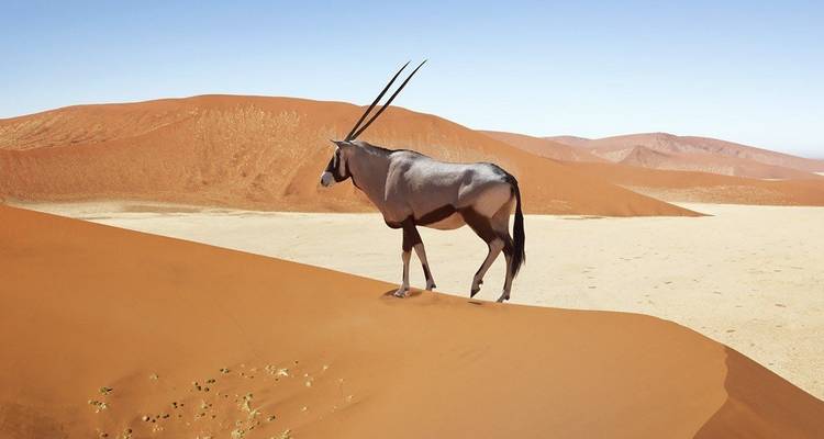 Southern Africa