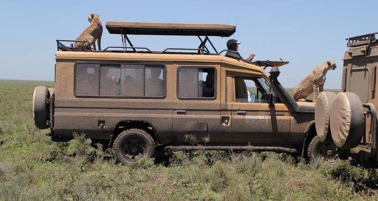 Tanzania