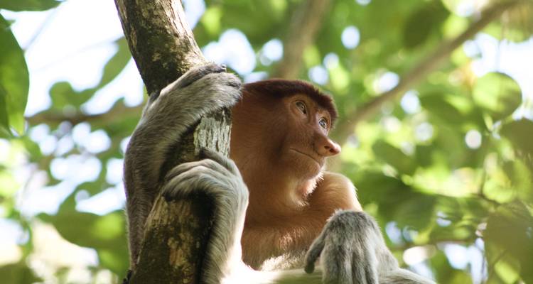 Malaysia