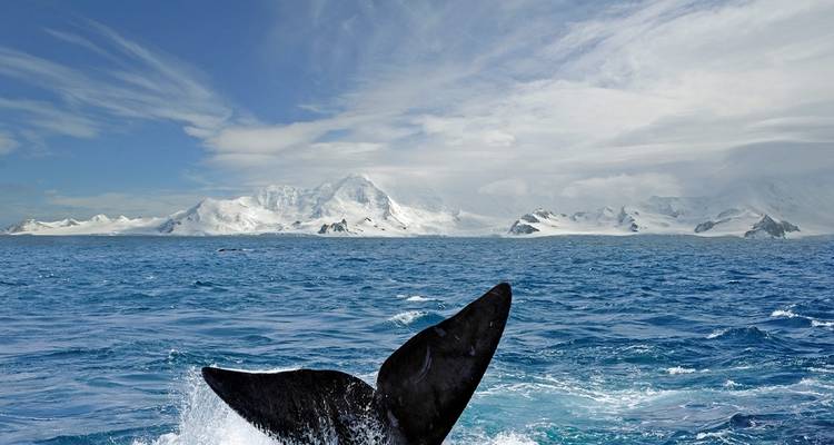 Antarctica