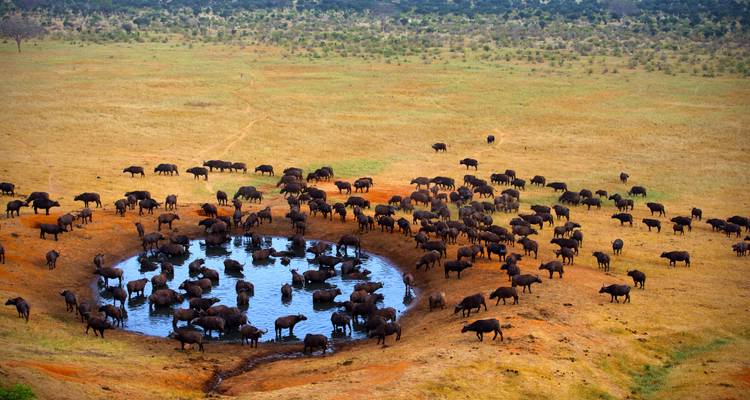 South Africa