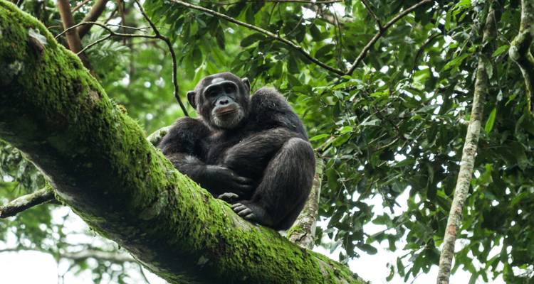 Rwanda