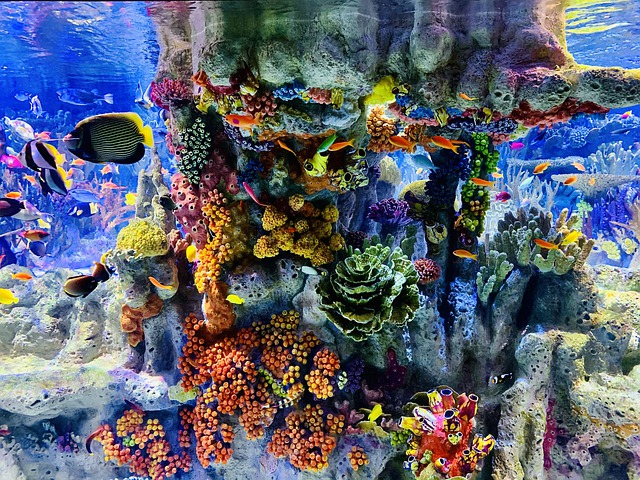Photo of New England Aquarium
